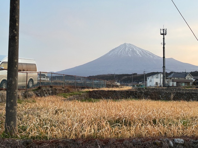 暖かくなったので